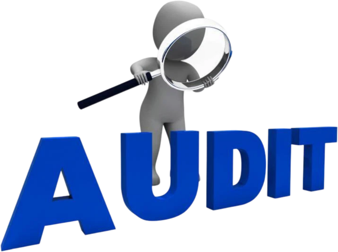 Audit